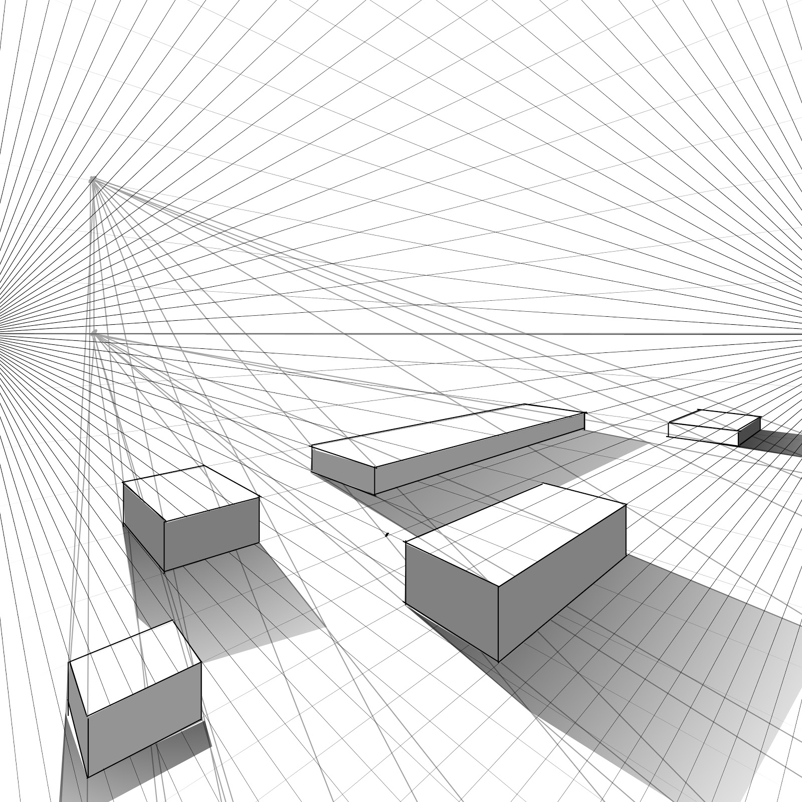 Shadows worksheet 5th grade picture