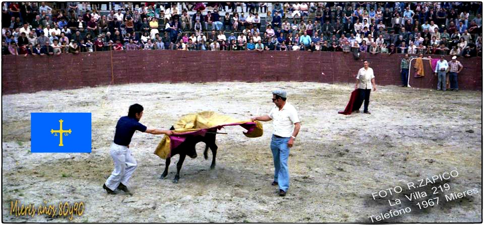 MIERES TOROS