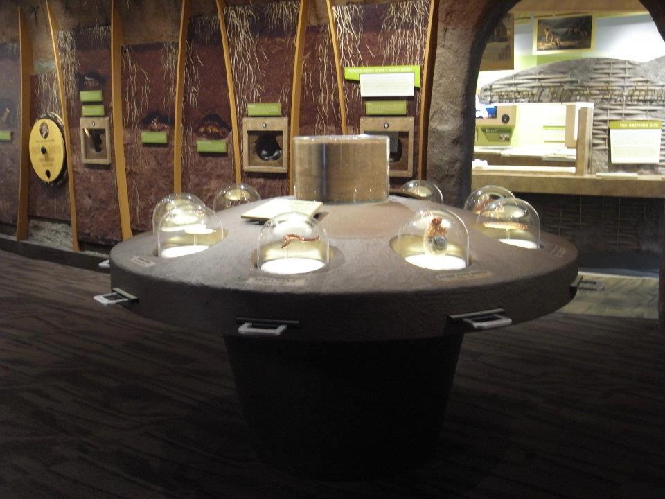 Flint Hills Discovery Center Project Complete Washington Roofing