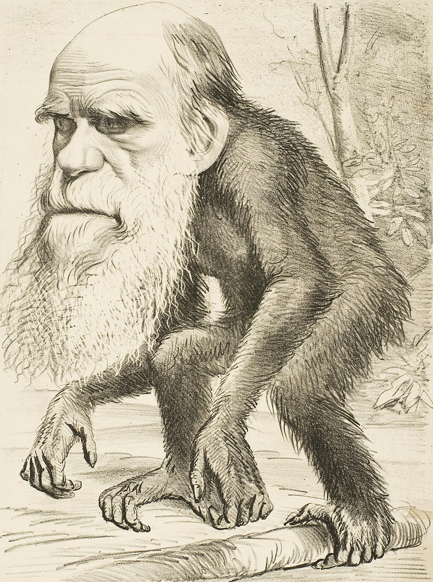 Darwin's Game - Wikipedia