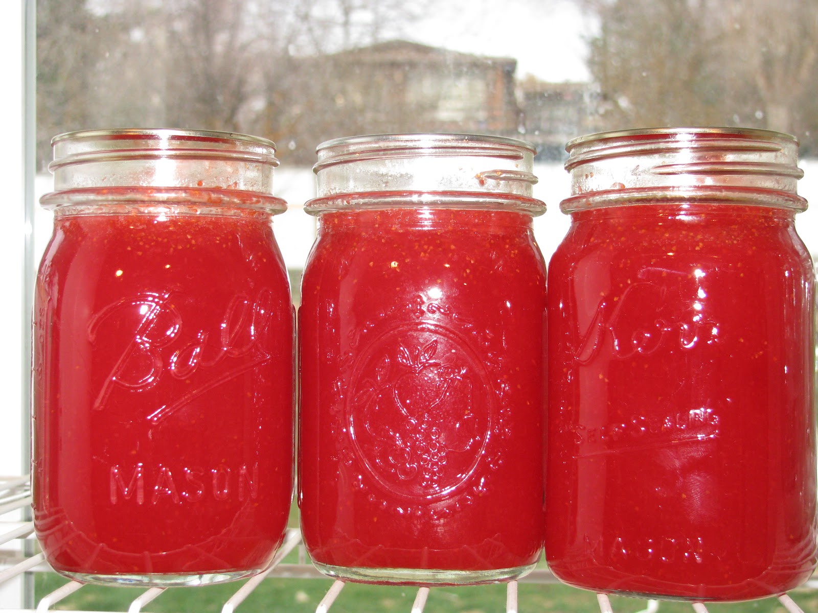 Strawberries and Summer Strawberry Lemonade Concentrate Canning