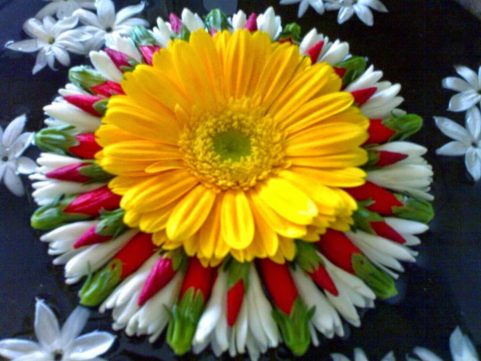 grandhalayam essay telugu Telugu news - oneindia telugu news portal brings the breaking & latest current telugu news headlines in online on politics, sports news in telugu, social issues, current affairs in india & around the world. grandhalayam essay telugu Telugu news - oneindia telugu news portal brings the breaking & latest current telugu news headlines in online on politics, sports news in telugu, social issues, current affairs in india & around the world.