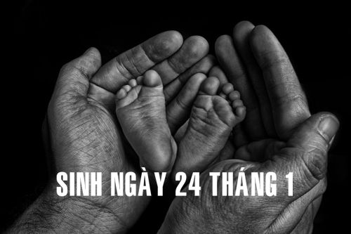 Sinh ngày 24 tháng 1 xem bói ngày sinh 241