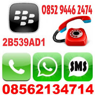 WHATSAPP 08562134714