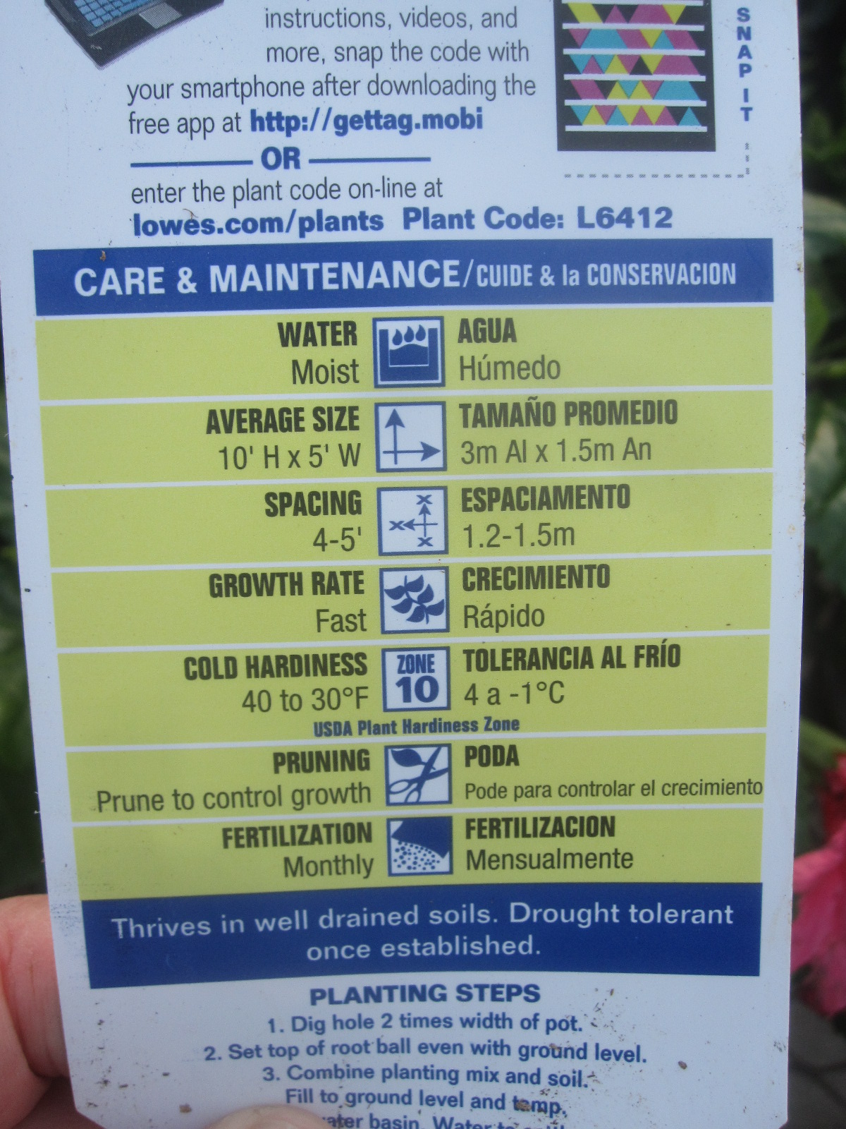 Tropical Texana: WHO KNOWS WHY? A RARE GARDEN RANT