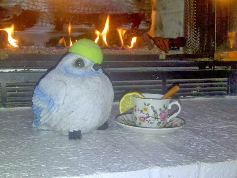 Warming and Happy Alien Snowbird