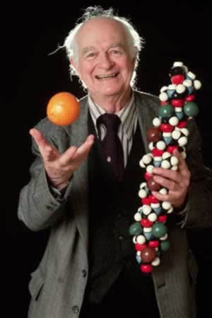 Разные лики аскорбинки