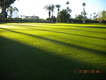 11's Green on 11-17-11