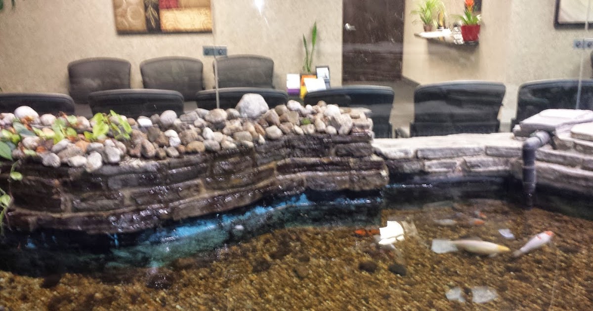 Madison's Musings My Orchiectomy Trip Dr. Marc Arnkoff