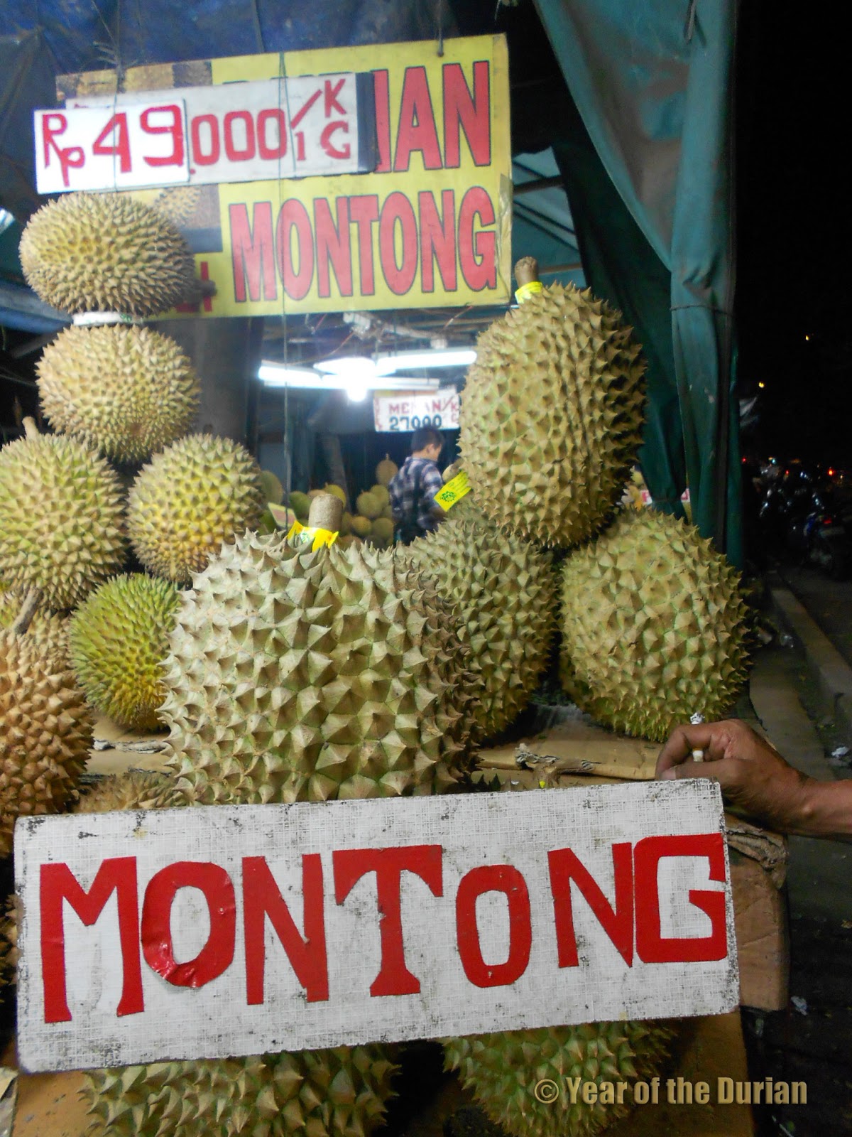 Durian News February 2013