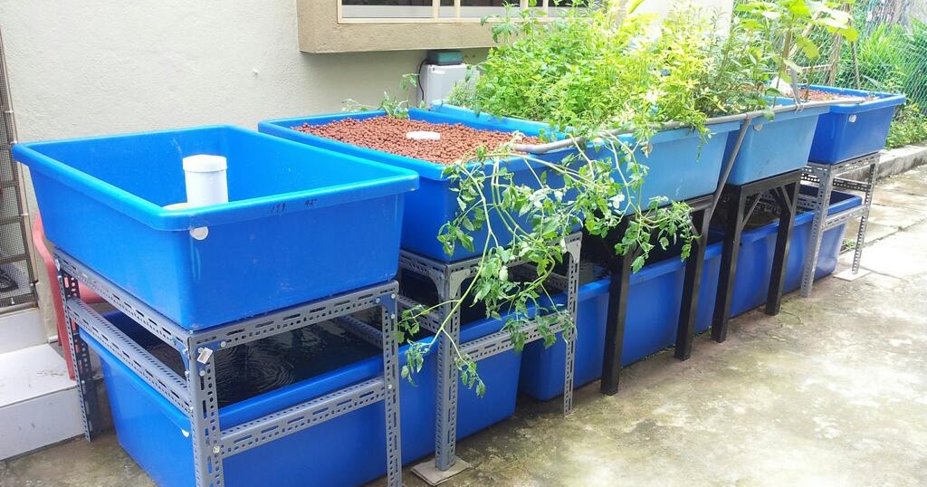 Affnan's Aquaponics Continuous Flood Conversion