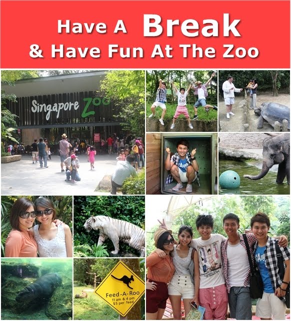 Have A Break & Have Fun At The Zoo OnlyWilliam