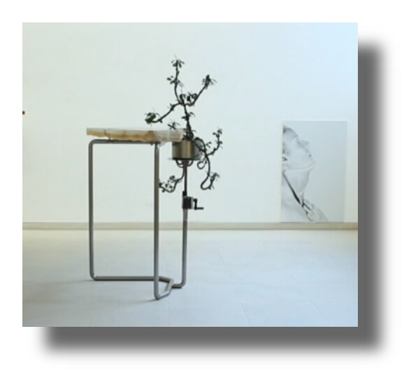 August 2012 Lokalzeit Junkie