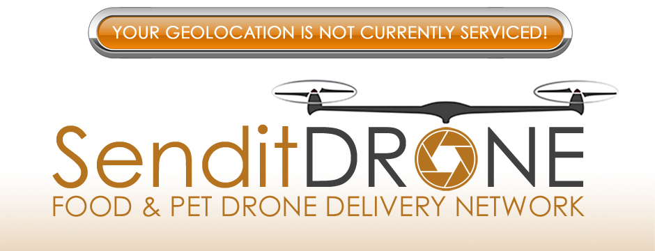 Send It DRONE - Drone Food, Pet and Product Delivery Network