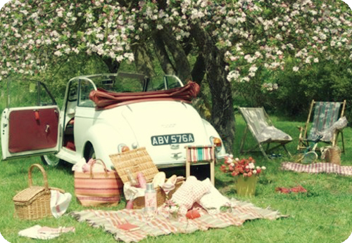 Un plan de picnic para San Valentín Un plan de picnic para San Valentín