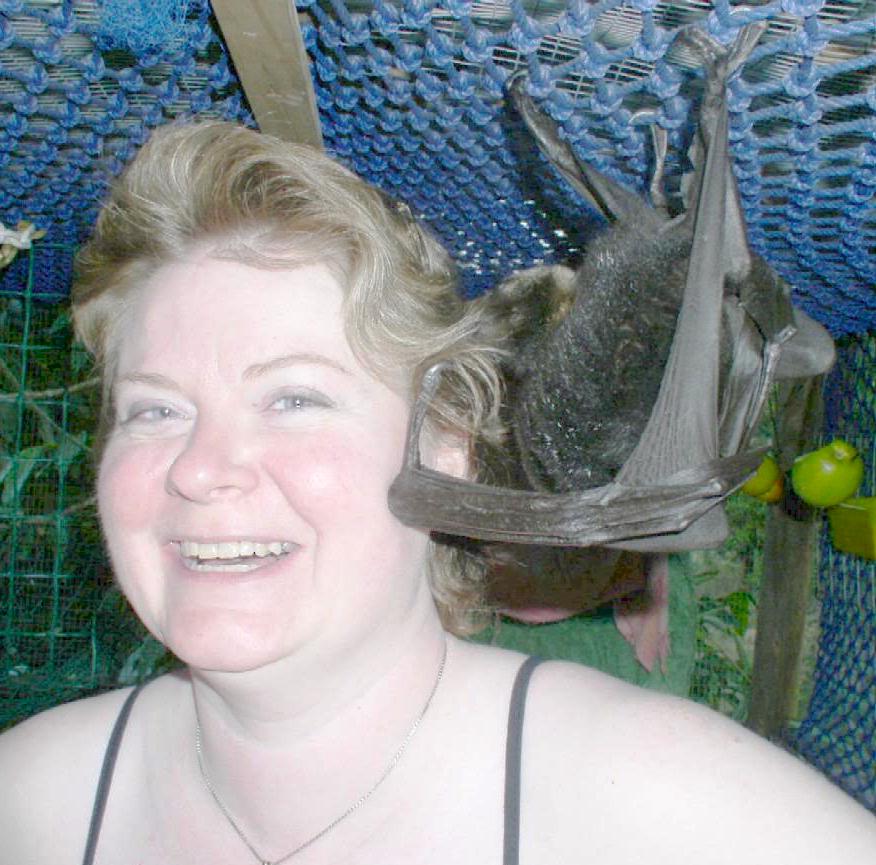 Got A Sunset In My Veins