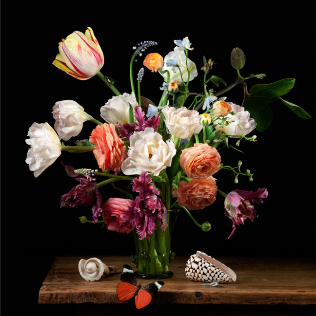 MARTHA MOMENTS New Work by Paulette Tavormina