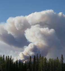 Fire on Moose Mountain