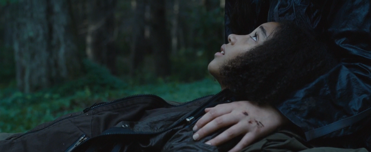 The Hunger Games (2012) Review Sharkberg