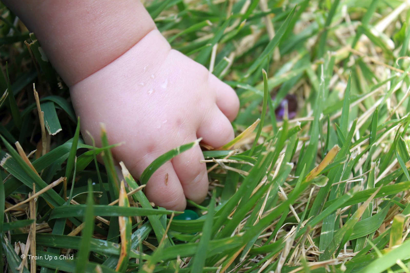 Water Beads and Pool Play for Babies Learn Play Imagine