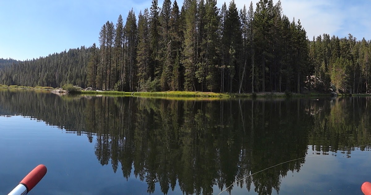 The Fly Syndicate Milton Lake The Ultimate Stillwater Challenge