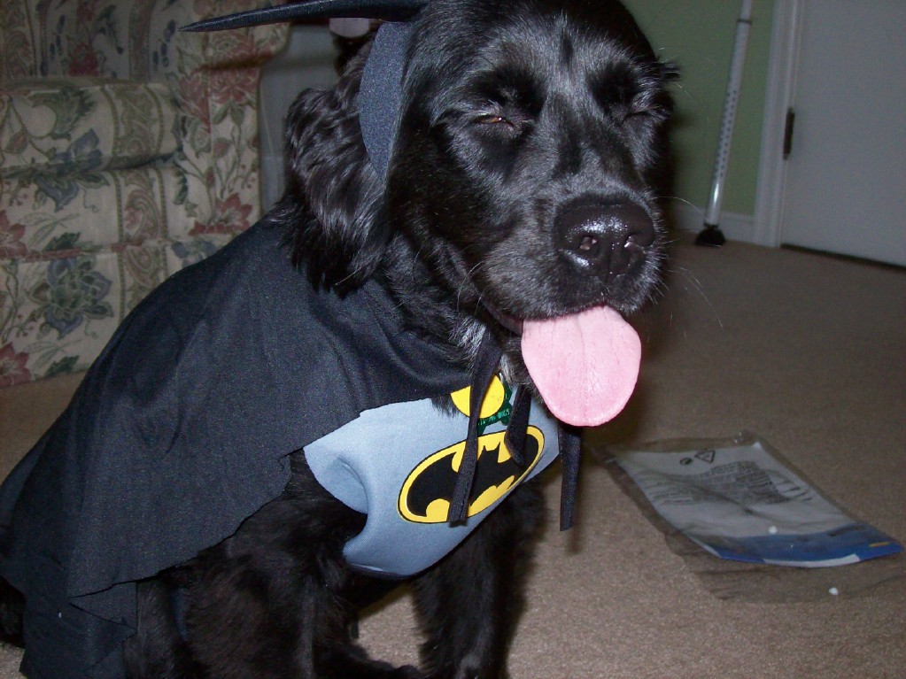 The ACC Tournament uses bat dogs instead of bat boys. baseball