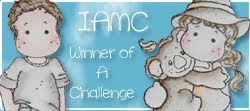 IAMC Winner of a Challenge