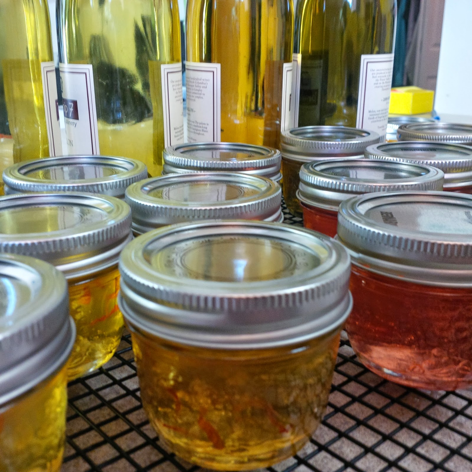 Festina Lente Farm Hanging Treat for Horses