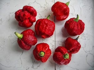 Trinidad Moruga Scorpions Pepper (Red)