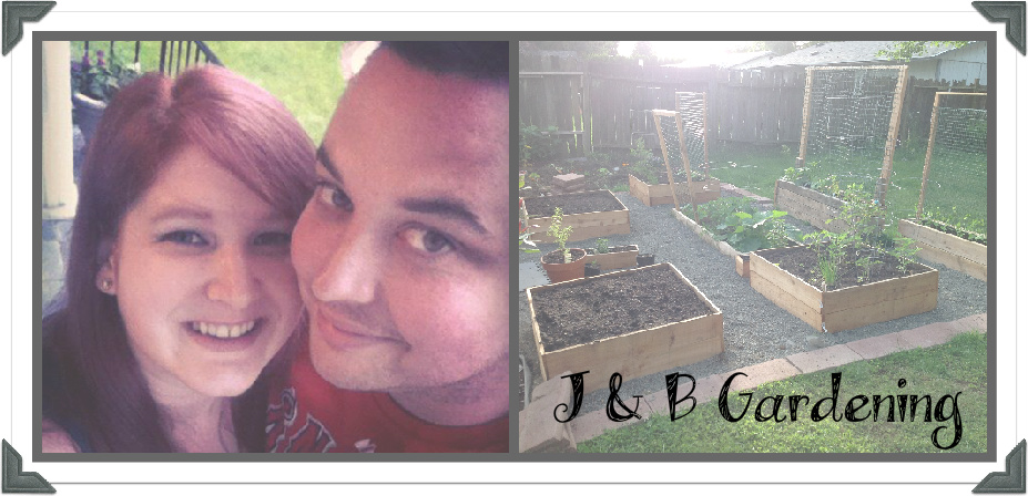 J & B Gardening