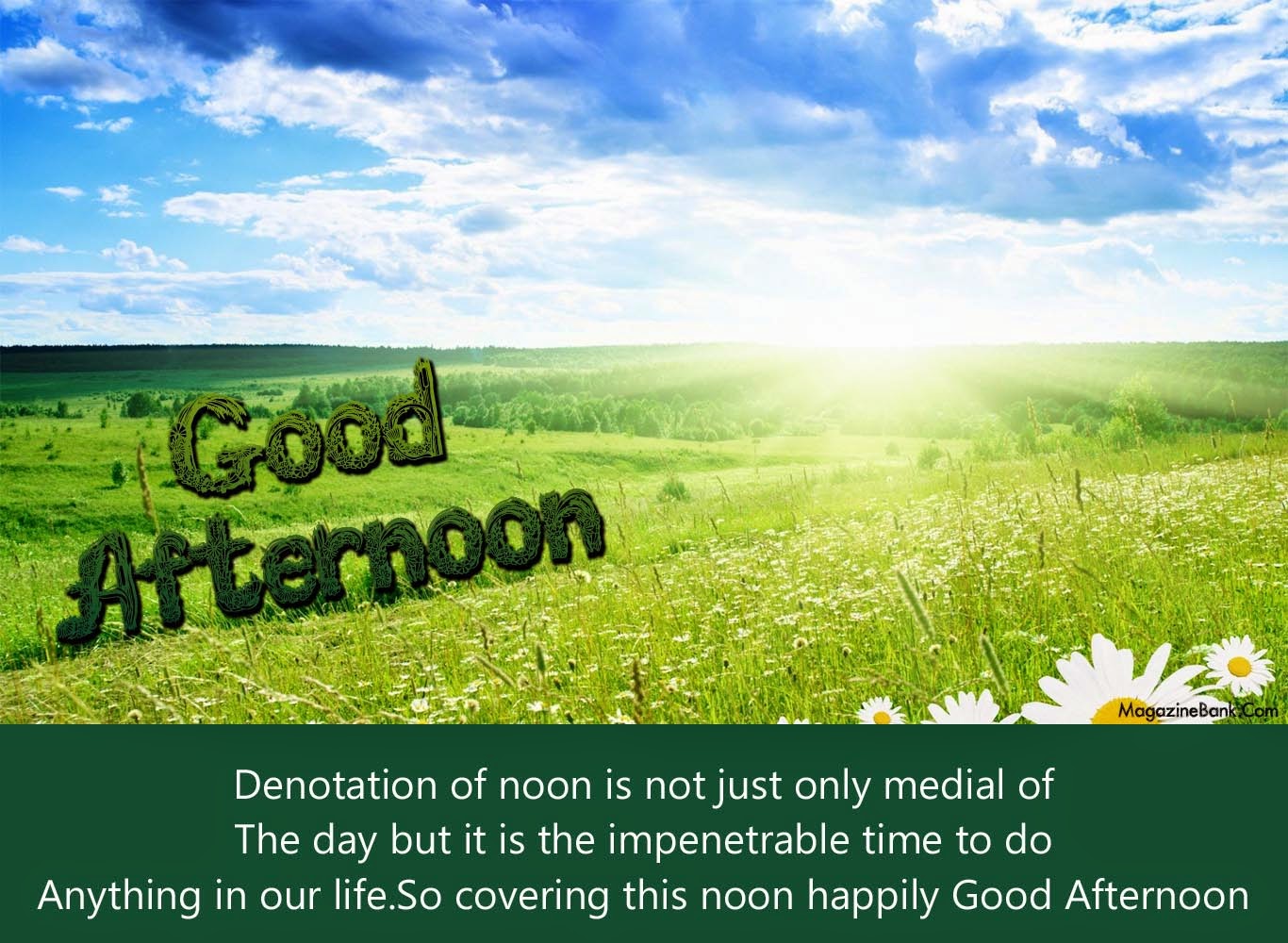 Good Afternoon Quotes and Images | Amazing Photo Stock