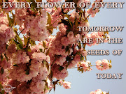 Spring quotes, spring quote, meaningful quotesMagazines24 (magazines )