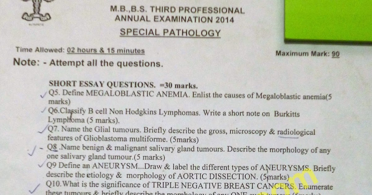 Essay about high school life picture