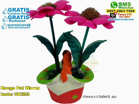 Bunga Pot Warna