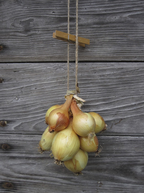 Http Www Dailymotion Com Video Xf1o04 2012 09 25t13 24 21 02