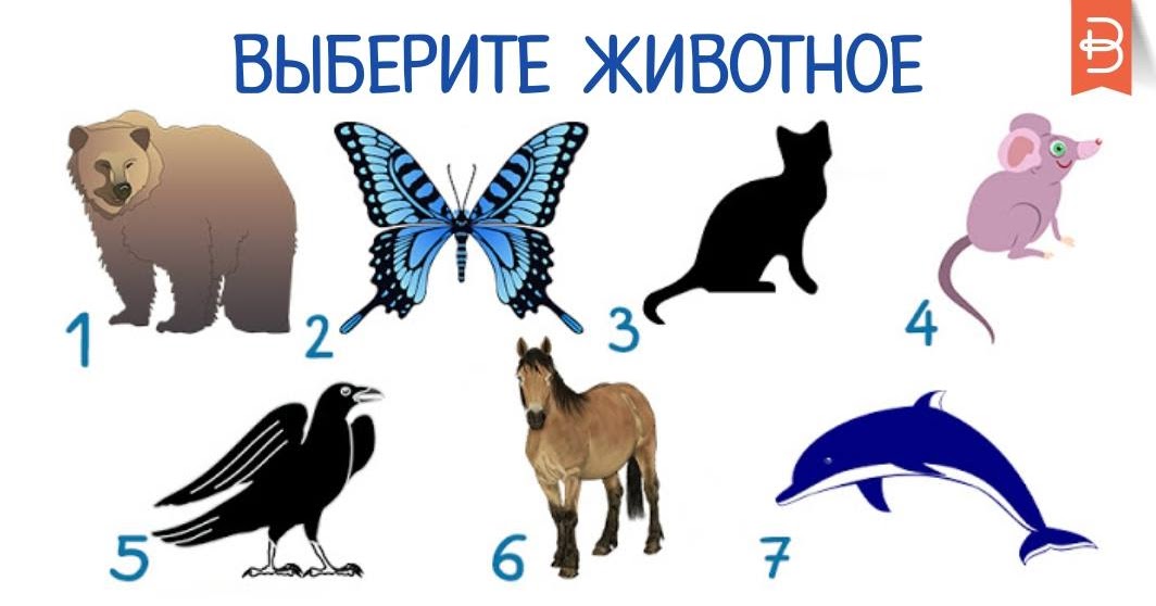 Каким Животным Называют Двойной Вибратор