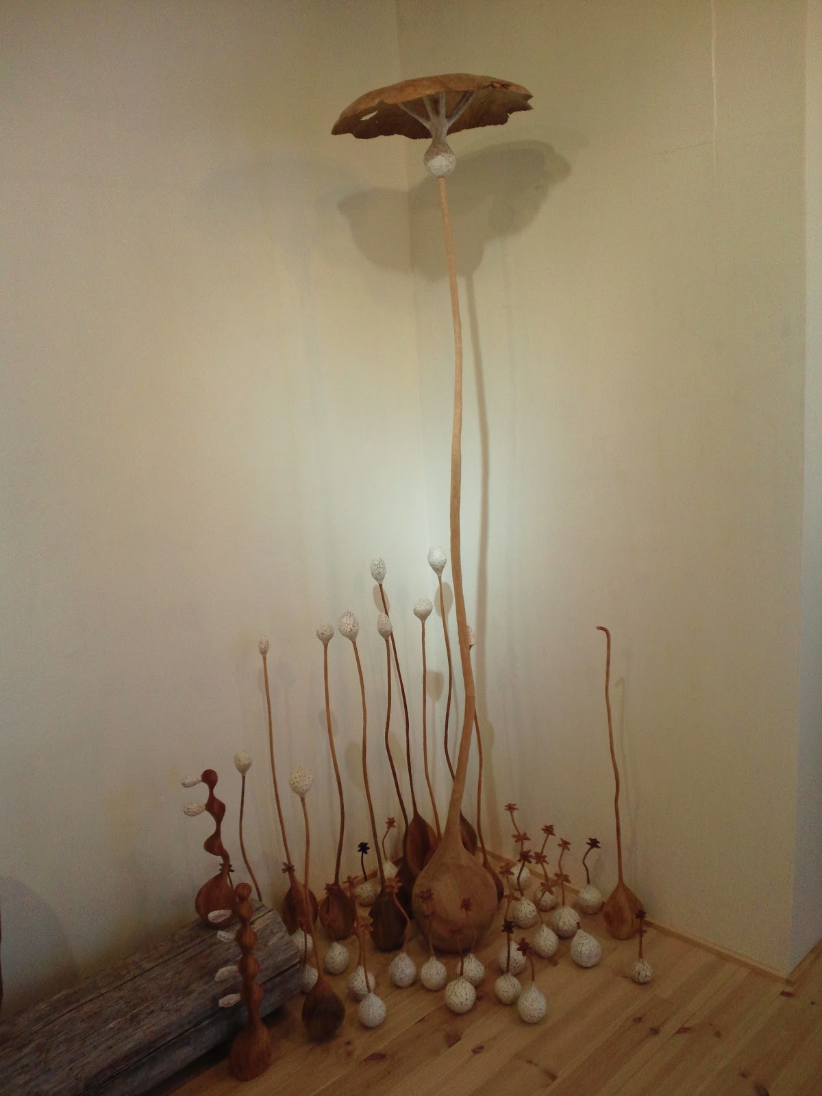 Quonaブログ ゆげるのへや