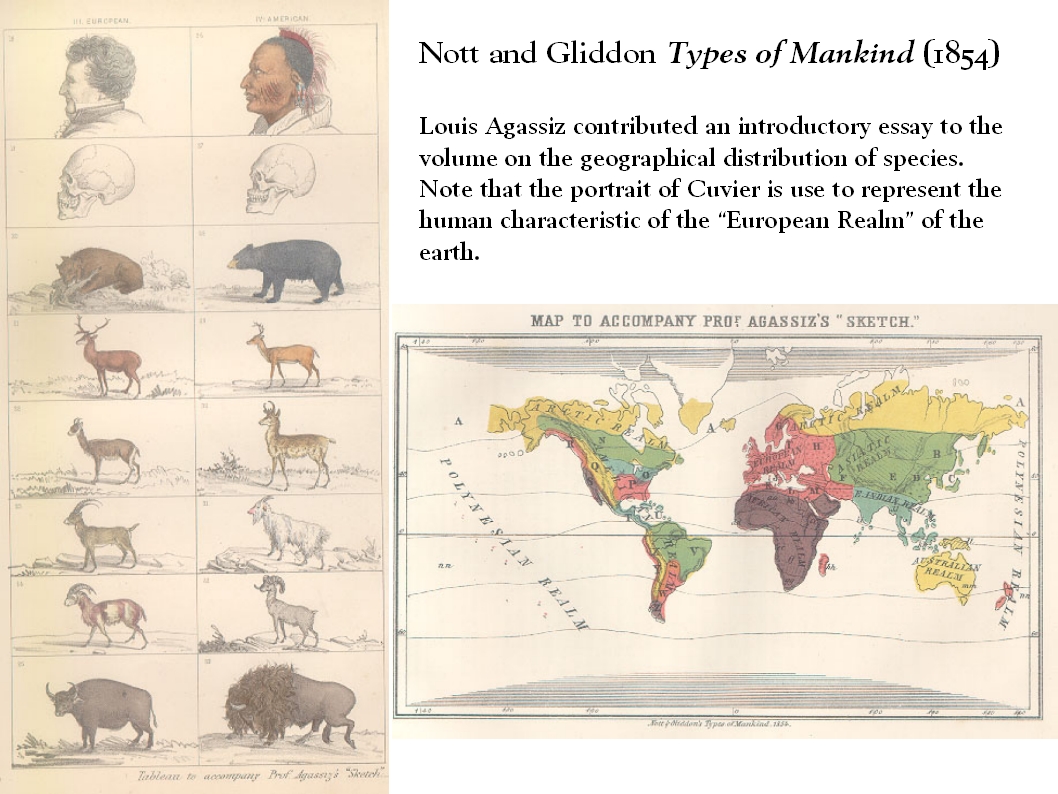 Cuvier essay on the theory of the earth