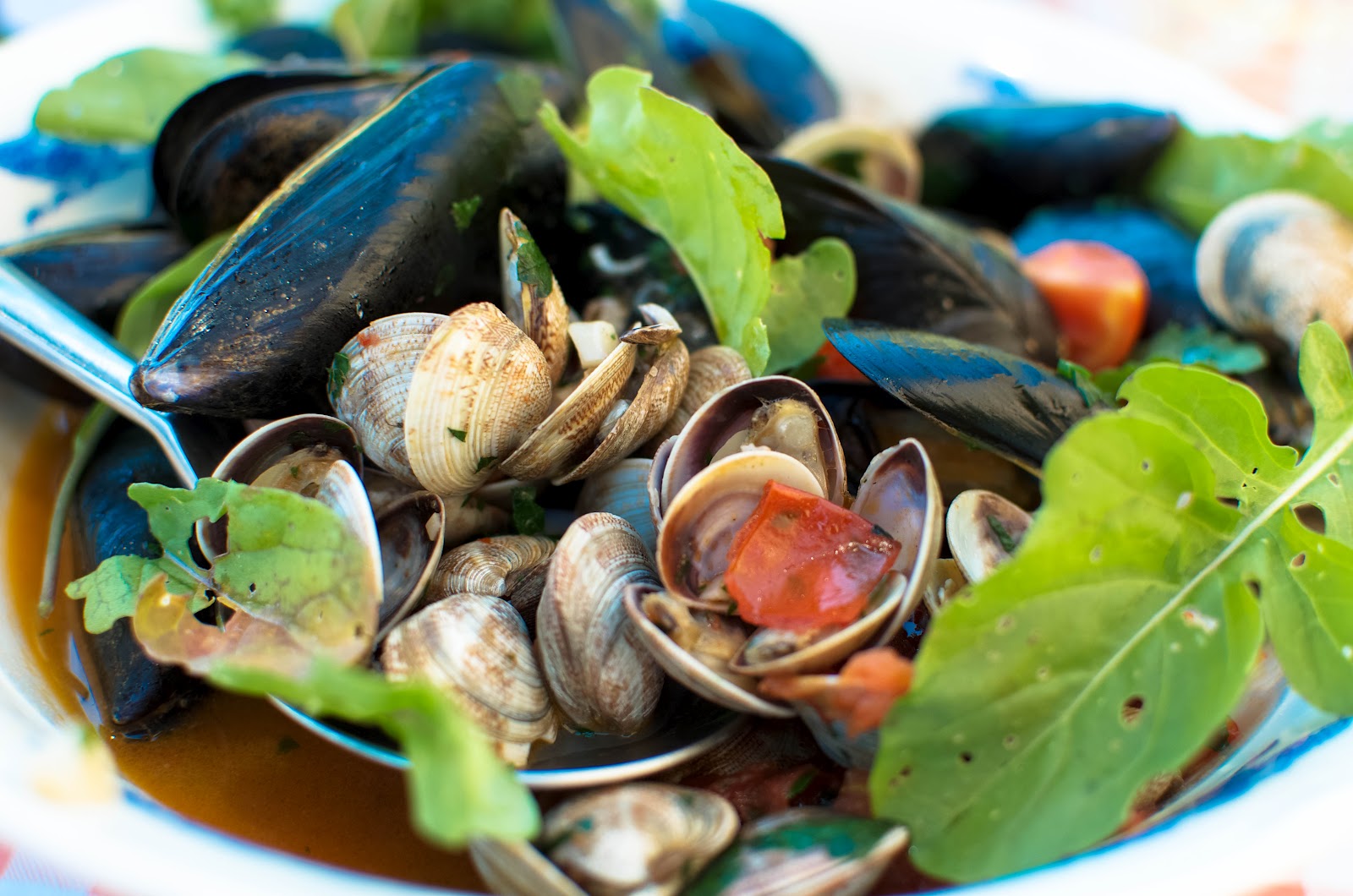 La Tavola Marche Recipes from the Sea Mussels & Clams in White Wine