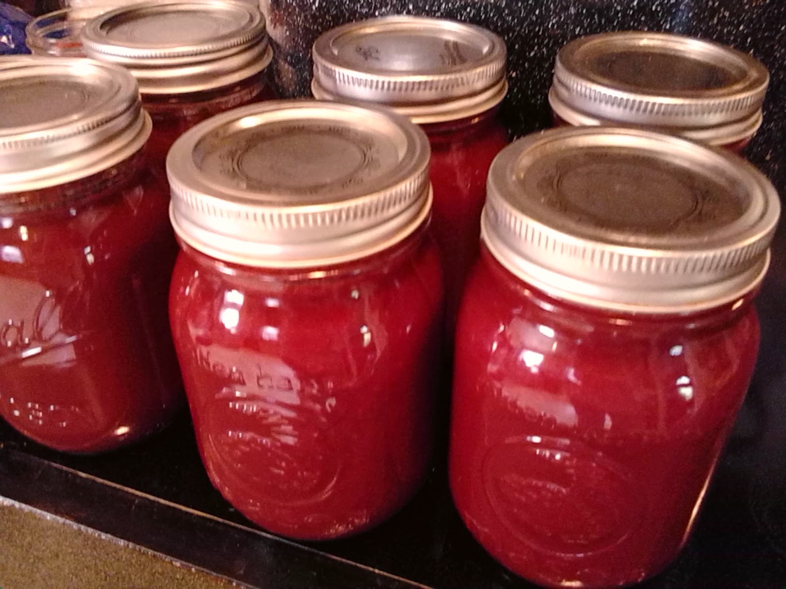 Southern Forager Autumn Olive Orange Jam Canning Recipe