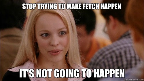 stop-trying-to-make-fetch-happen.jpg