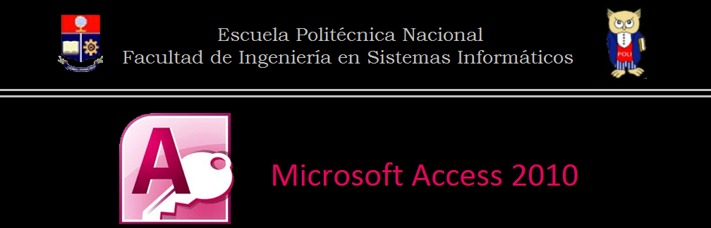 DBMS Microsoft Access 2010