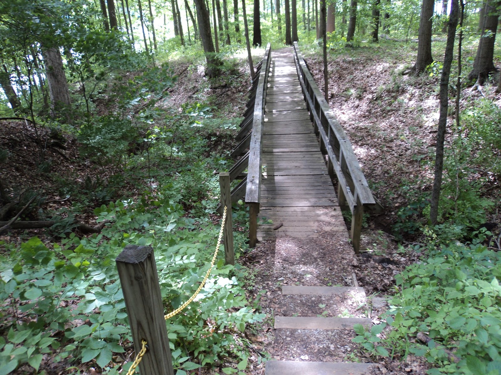 hueston woods mountain bike trails