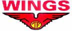 Wings Group logo wings group