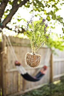 Imágenes de Jardines Colgantes : Jardín y Terrazas