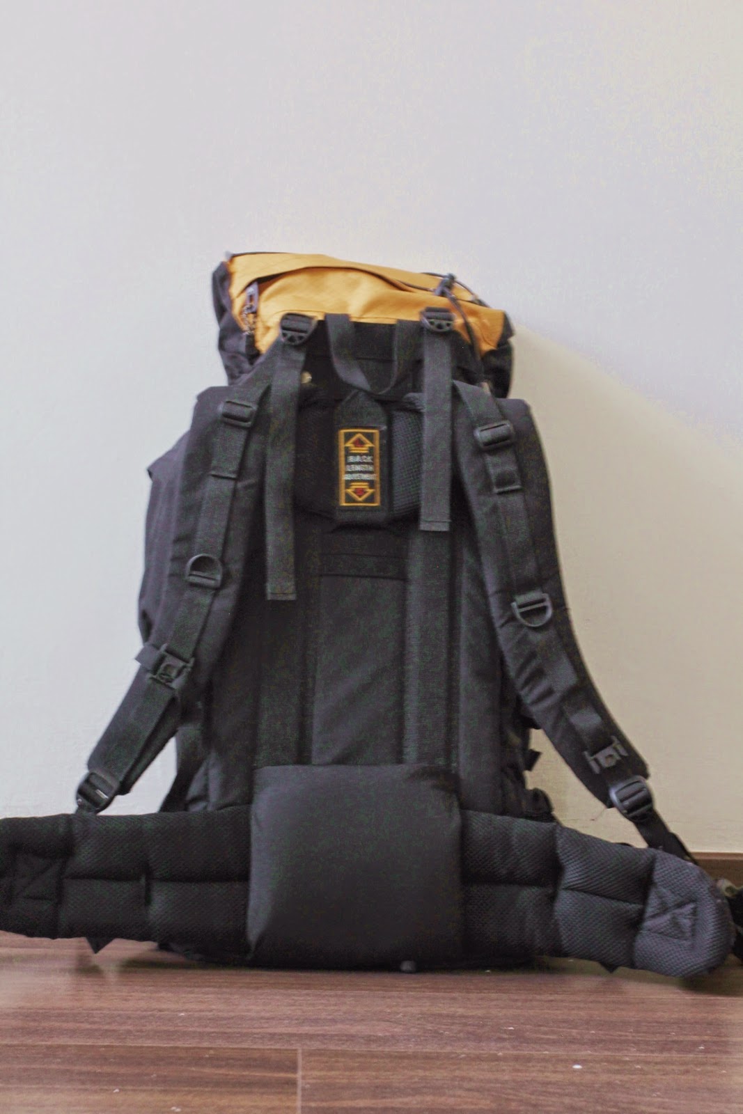 teton sports scout