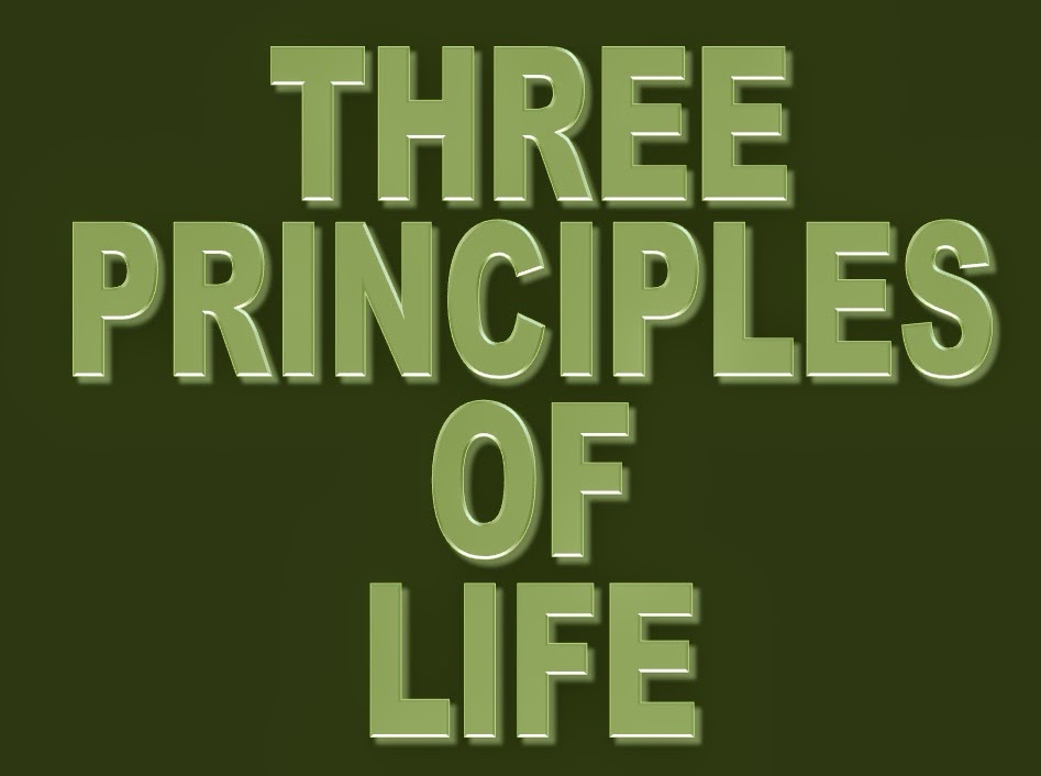 CONTRARY BRIN April 2015