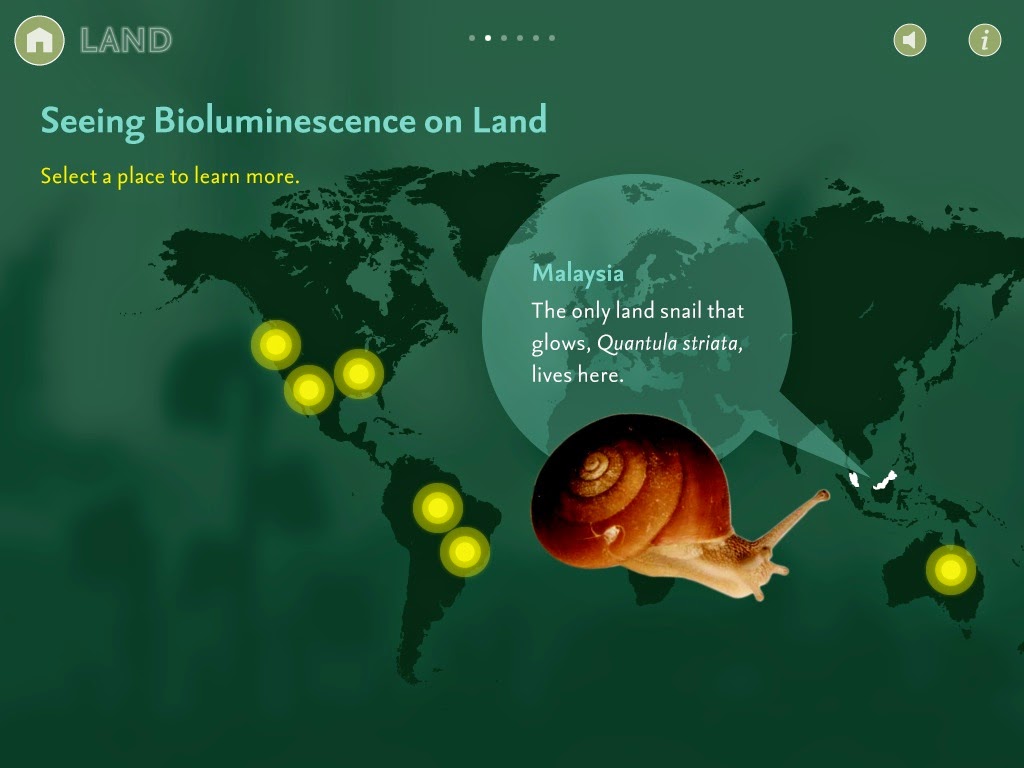 A map showing examples of bioluminescence on land. 