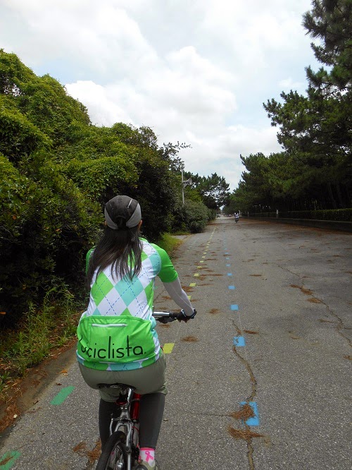 海岸線ポタリング 幕張稲毛シーサイドランニングコース