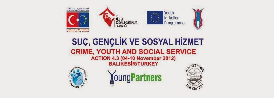 Crime, Youth and Social Services Action 4.3
